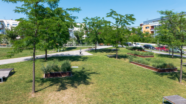 Ein Park mit grünem Gras, Bäumen, Bänken, Pflanzen und Gebäuden im Hintergrund, mit Fahrzeugen auf der Straße und einem klaren blauen Himmel.