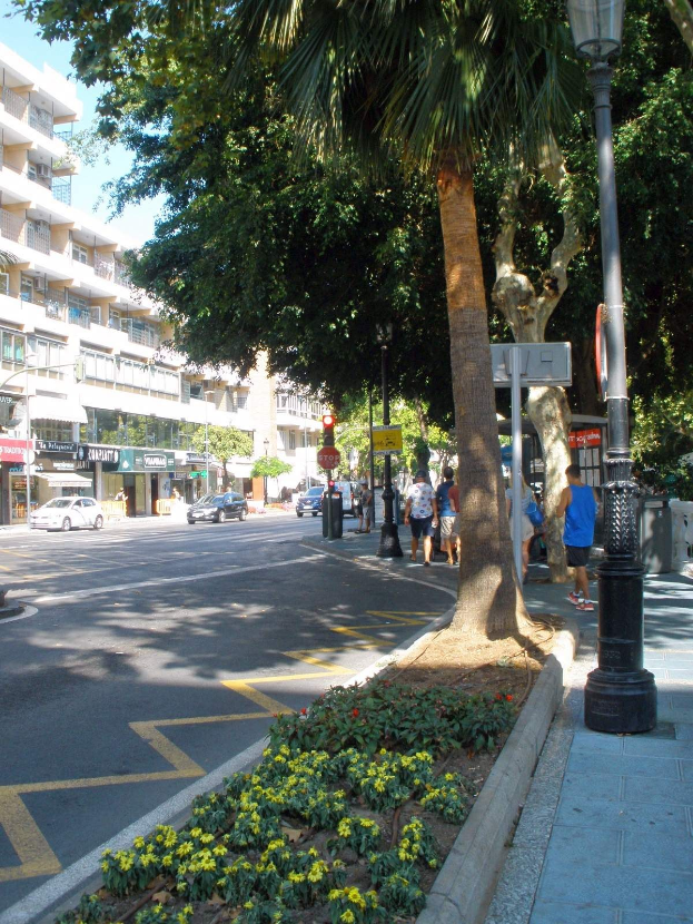 Eine Stadtstraße mit Fahrzeugen, Fußgängern, Laternen, Schildern, Bäumen, blühenden Pflanzen, Gebäuden und einer zentralen Palme unter einem klaren blauen Himmel.