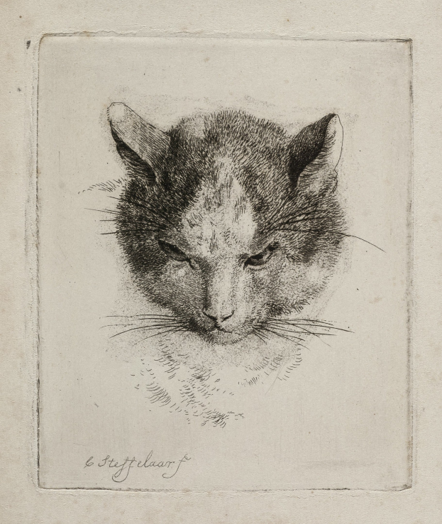 Schwarze und weiße Zeichnung eines realistischen Katers mit weiten Augen, aufgestellten Ohren, langen Schnurrhaaren und einer eingerollten Schwanzspitze auf einem Blatt Papier mit fetter Schrift.