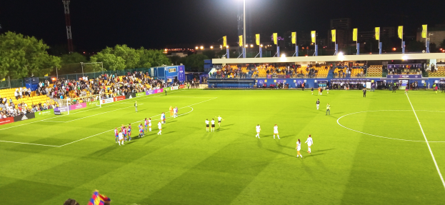 Eine Gruppe von Menschen, die Fußball auf einem Feld spielen, umgeben von einem Stadion mit Zuschauern, Bannern, Pfählen, Lichtern, Fahnen, Bäumen, Gebäuden und einem Turm im Hintergrund unter einem dunklen Himmel.