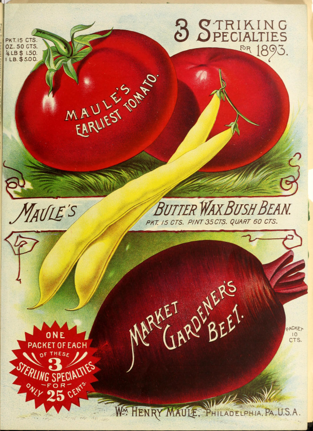 Ein Vintage-Plakat mit einer Vielfalt an buntem Gemüse, einschließlich Tomaten und Rote Beete, die in einem angenehmen Muster mit überlappenden Elementen angeordnet sind, und der Text "Market Gardener's Beet" in einer fetten Schrift oben.