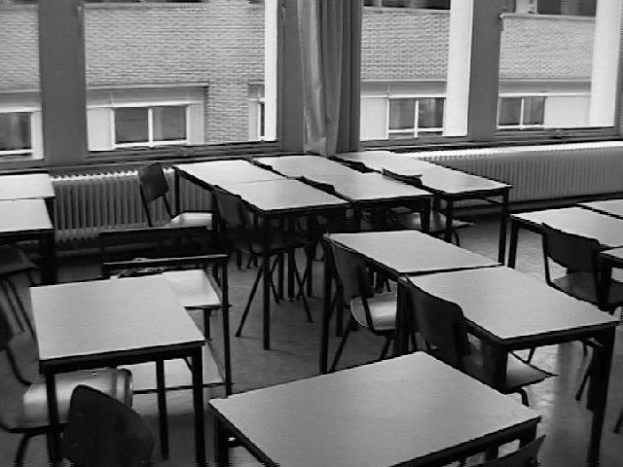 FDP: K"uhle nicht Klassen auf 19 Grad