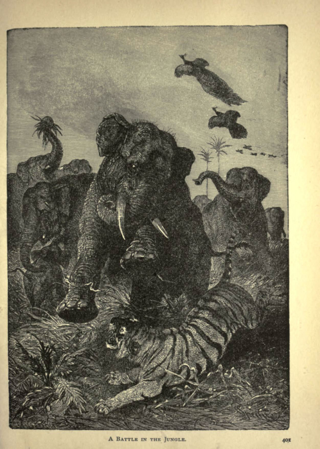 Ein Elefant und ein Tiger kämpfen im Dschungel, umgeben von Bäumen und Vögeln, die am Himmel fliegen, mit Text am unteren Rand des Bildes.