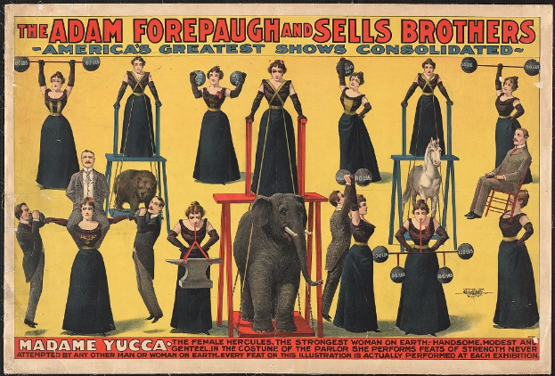 Plakat für Adam Forepaugh und Sells Brothers, Americas Greatest Shows Consolidated, mit Darstellern auf Hockern und einem Elefanten in der Mitte sowie Werbetext.