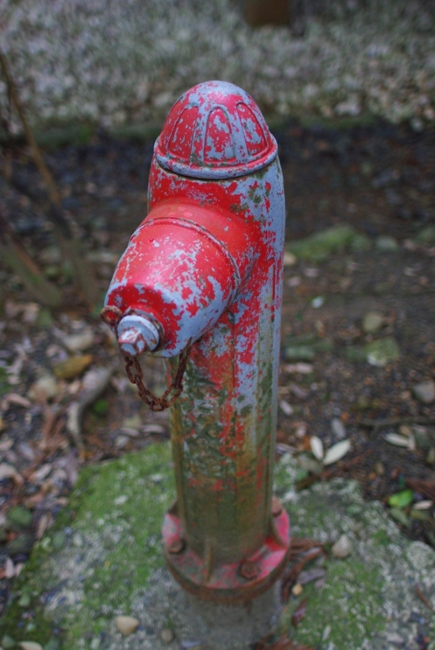 Nahaufnahme eines Wasserrohrs.