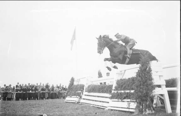 Schwarzes und weißes Foto eines Pferdes und Reiters, die über ein Hindernis springen, bei den Royal Ascot Horse Trials 1953, mit Zuschauern links, einer Fahne im Hintergrund und Gras unten.