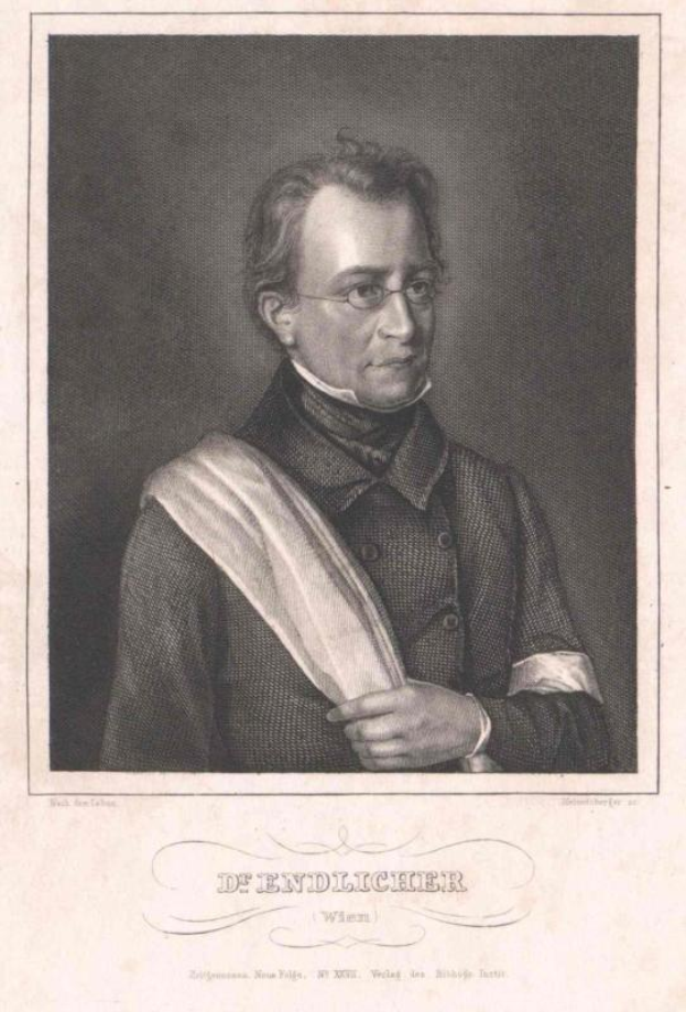 Eine Schwarz-Weiß-Radierung eines Mannes in Anzug und Krawatte, der eine Brille trägt und ein Buch hält, mit der Inschrift "Wien, Johann Wolfgang von Bismarck" unten.