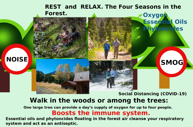 Plakat mit dem Titel "Ruhe und Entspannung die vier Jahreszeiten im Wald" mit Bildern von Menschen, die durch einen bewaldeten Bereich mit Bäumen und einem Haus gehen und Entspannung in der Natur fördern.