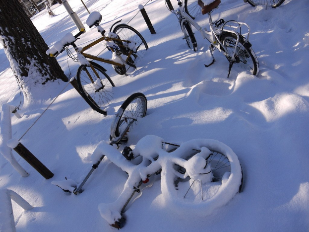 Eine dichte Ansammlung von Fahrrädern, teilweise im Schnee vergraben, mit einem Baumstamm und Straße daneben.