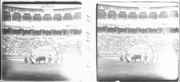 Schwarzes und weißes Foto einer Stierkampfveranstaltung in einem Stadion mit Zuschauern auf den Tribünen und Menschen in der Nähe von Stieren im Vordergrund.