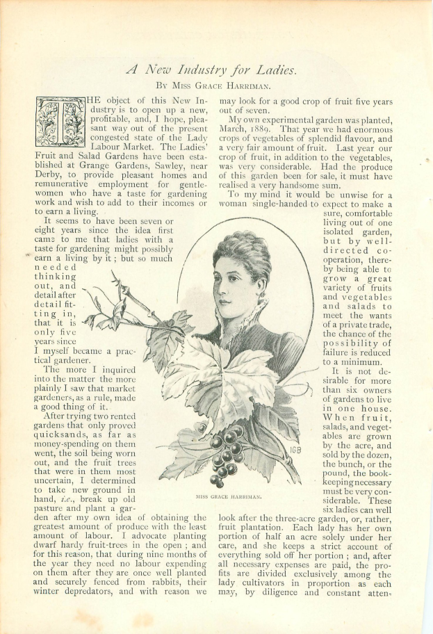 Offenes Buch mit einer Illustration eines Frauenkopfs auf der Seite, umgeben von Blättern und Früchten, mit dem Text "Eine neue Branche für Damen".