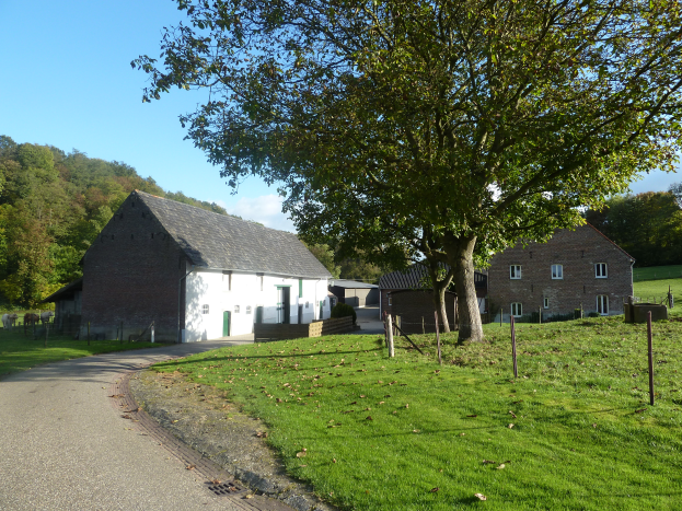 Ein Hof mit einem großen Baum in der Mitte einer grünen Wiese, umgeben von Häusern, einem Weg, Pfählen, einem Zaun, einer Baumgruppe und einem bewölkten Himmel.