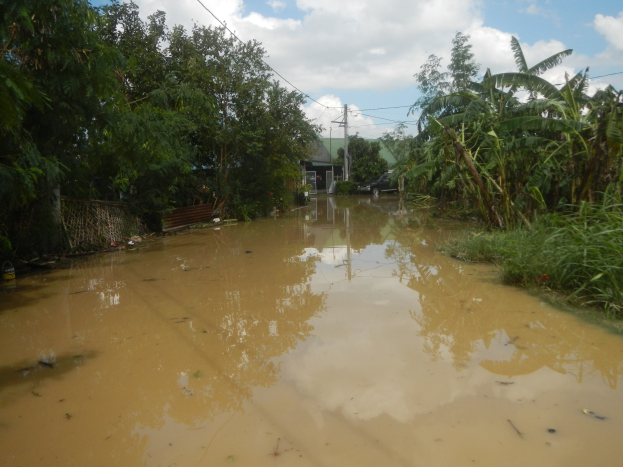 Eine überflutete ländliche Straße mit Wasser auf der Straße, Vegetation auf beiden Seiten, einem geparkten Auto auf der rechten Seite und beschädigten Häusern im Hintergrund unter einem bewölkten Himmel.