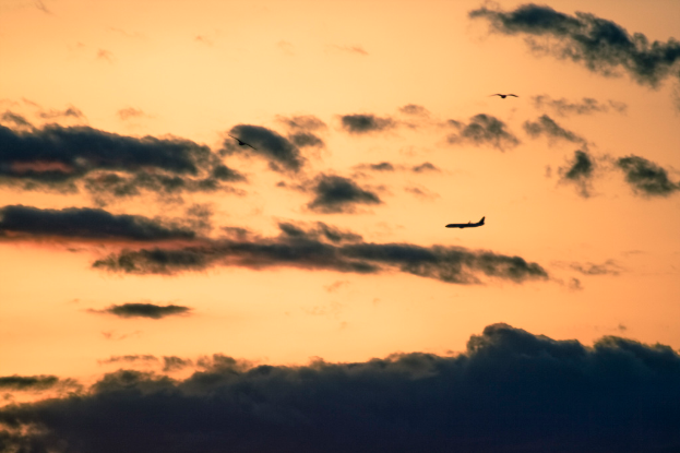 Ein Flugzeug fliegt am rechten Bildrand durch die Luft.