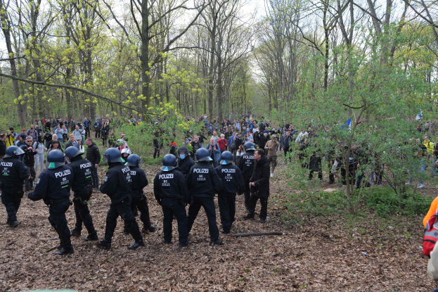 Gruppe von Polizisten in Helmen in einem bewaldeten Gebiet mit Bäumen, Pflanzen, trockenen Blättern auf dem Boden und sichtbarem Himmel im Hintergrund.