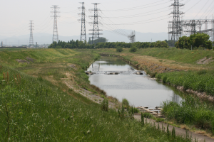 Ein Fluss durchquert ein grünes Feld mit Stromleitungen, Gras, Pflanzen, Bäumen und Türmen im Vordergrund und Bergen und Himmel im Hintergrund.